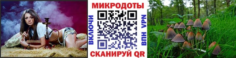 Галлюциногенные грибы Magic Shrooms  Купить  Феодосия 